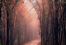 除臭剂的原理是什么呢,除臭剂工作原理