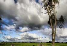 除臭剂的作用与功效图片大全,除臭剂有什么作用