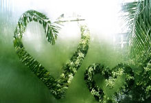 除臭剂的作用与功效图片大全,除臭剂有什么作用