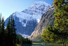 除臭剂的原理是什么呢,除臭剂工作原理