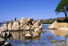 除臭剂的原理是什么呢,除臭剂工作原理