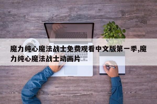 魔力纯心魔法战士免费观看中文版第一季,魔力纯心魔法战士动画片