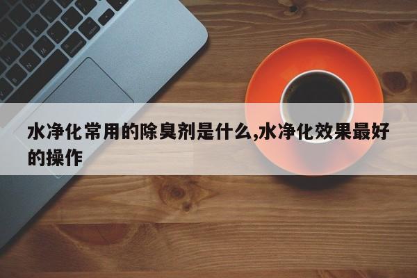 水净化常用的除臭剂是什么,水净化效果最好的操作