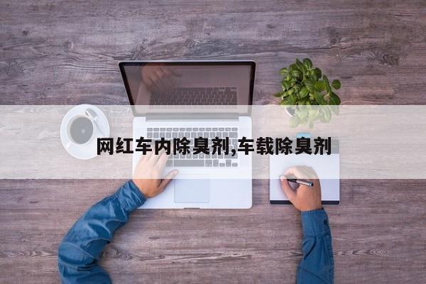 网红车内除臭剂,车载除臭剂
