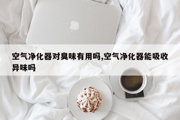 空气净化器对臭味有用吗,空气净化器能吸收异味吗