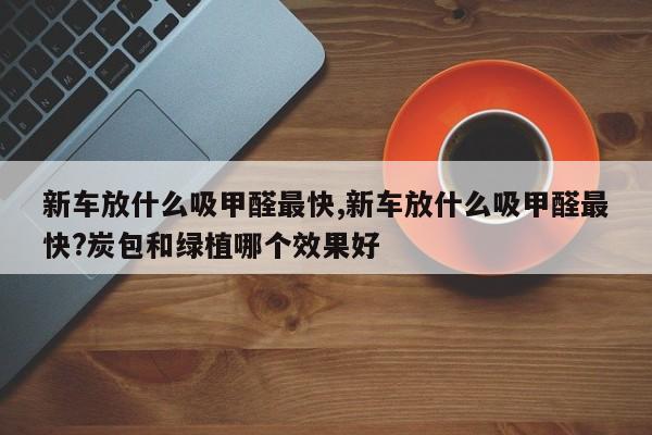 新车放什么吸甲醛最快,新车放什么吸甲醛最快?炭包和绿植哪个效果好