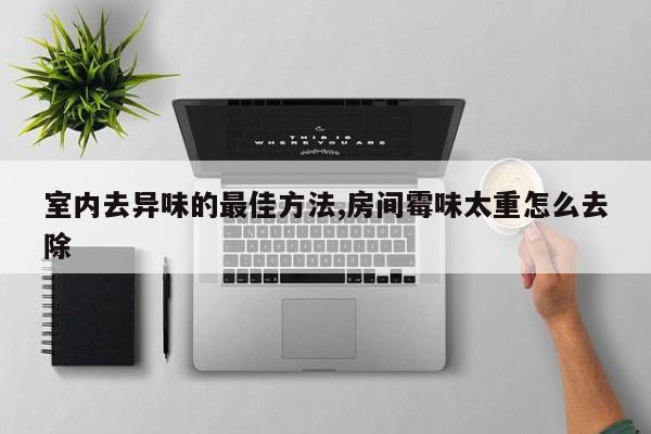 室内去异味的最佳方法,房间霉味太重怎么去除