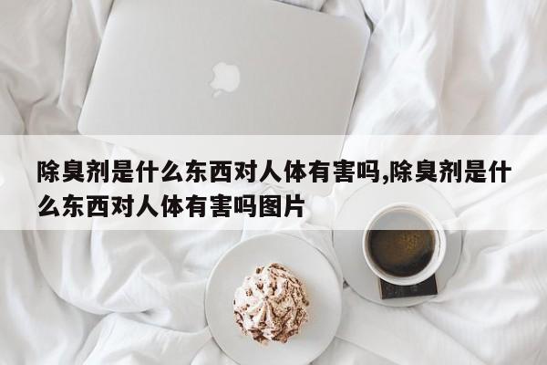 除臭剂是什么东西对人体有害吗,除臭剂是什么东西对人体有害吗图片