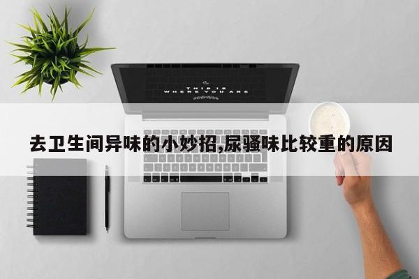去卫生间异味的小妙招,尿骚味比较重的原因