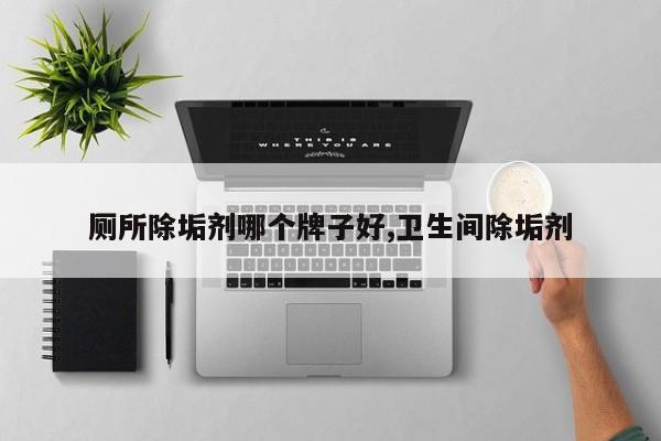 厕所除垢剂哪个牌子好,卫生间除垢剂