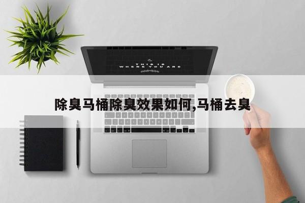 除臭马桶除臭效果如何,马桶去臭