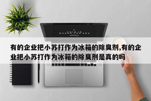 有的企业把小苏打作为冰箱的除臭剂,有的企业把小苏打作为冰箱的除臭剂是真的吗