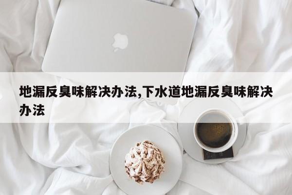 地漏反臭味解决办法,下水道地漏反臭味解决办法