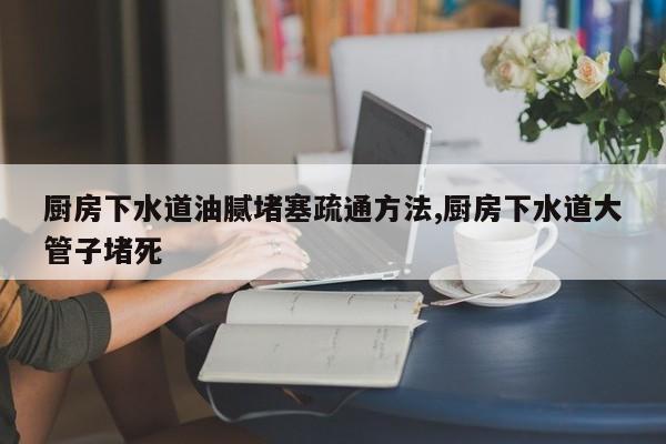 厨房下水道油腻堵塞疏通方法,厨房下水道大管子堵死