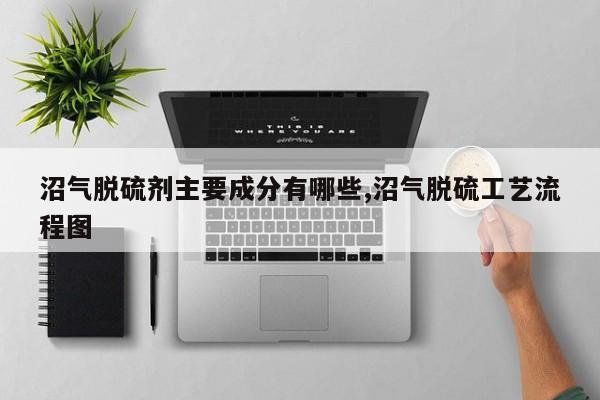 沼气脱硫剂主要成分有哪些,沼气脱硫工艺流程图