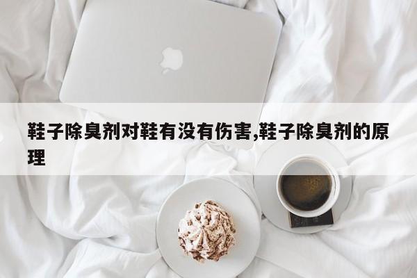 鞋子除臭剂对鞋有没有伤害,鞋子除臭剂的原理