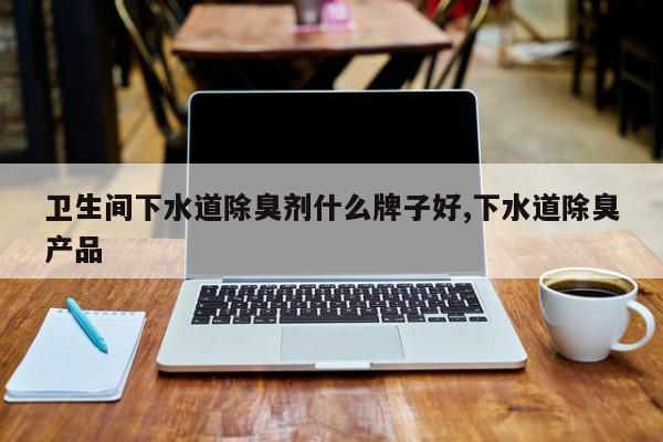 卫生间下水道除臭剂什么牌子好,下水道除臭产品