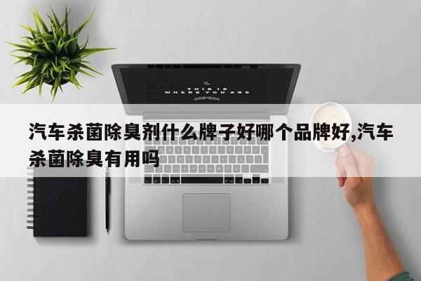 汽车杀菌除臭剂什么牌子好哪个品牌好,汽车杀菌除臭有用吗